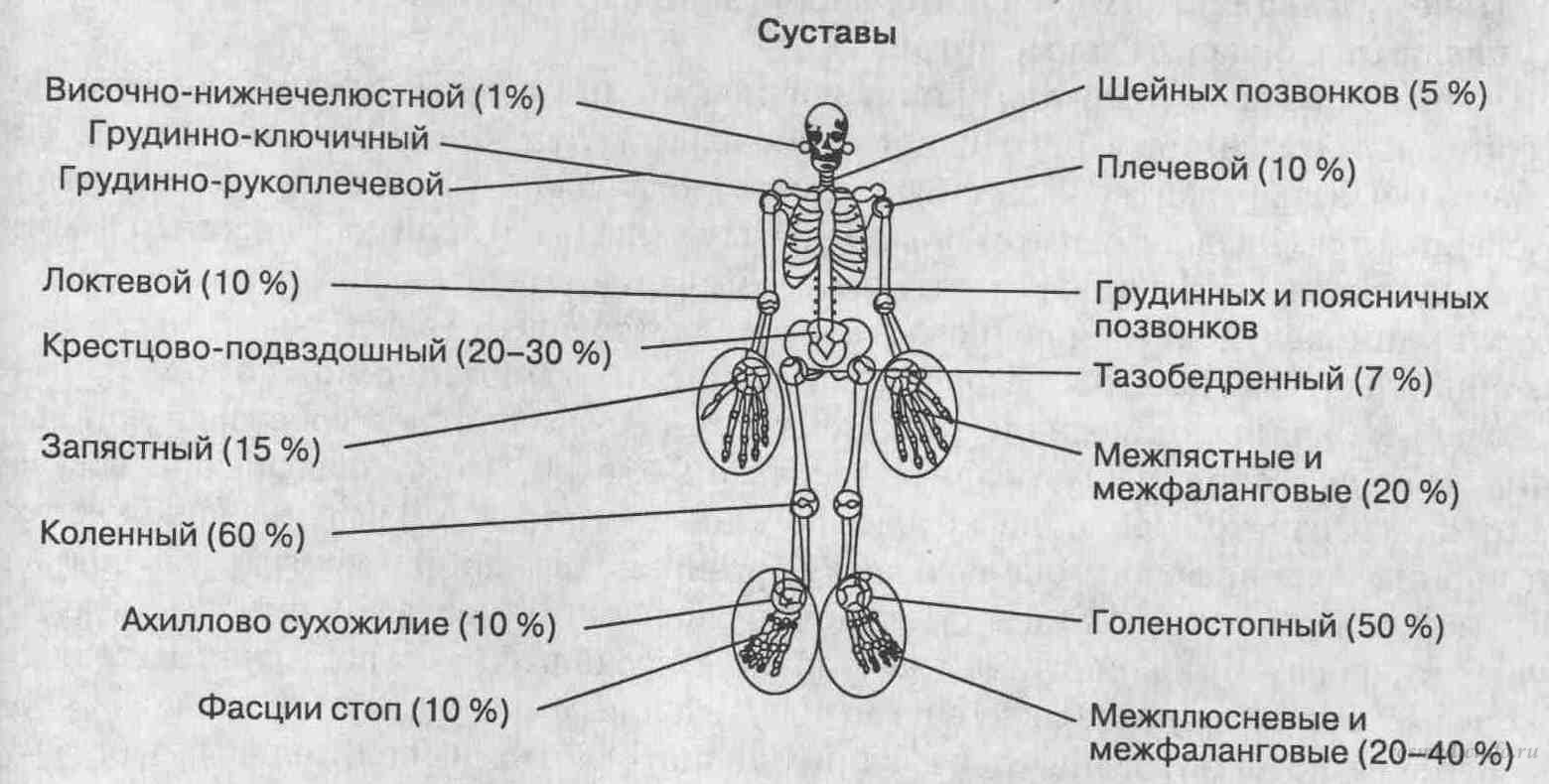 Названия суставов человека. Суставы человека. Название суставов. Название суставов человека. Суставы название анатомия.